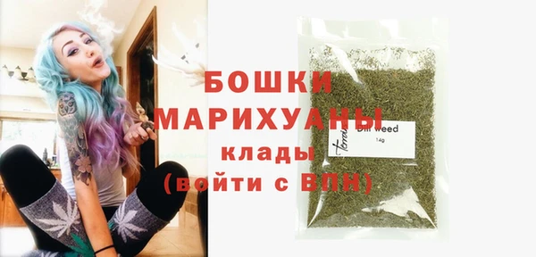 МДПВ Инсар