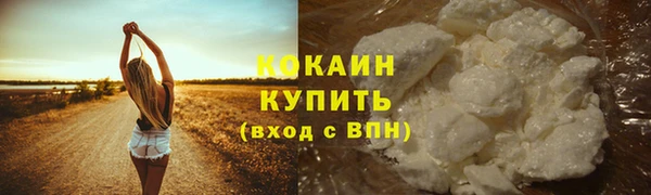 МДПВ Инсар