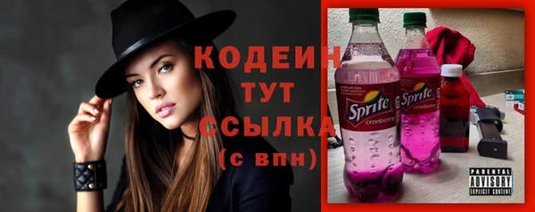 МДПВ Инсар