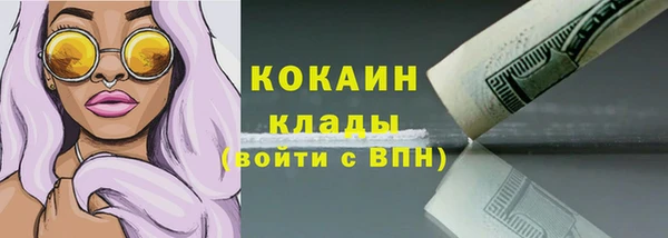 МДПВ Инсар