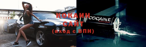 МДПВ Инсар
