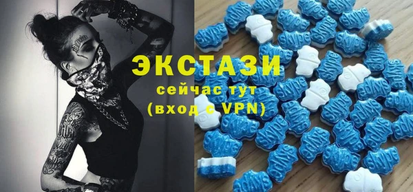 МДПВ Инсар