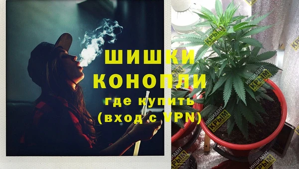 гидра Иннополис
