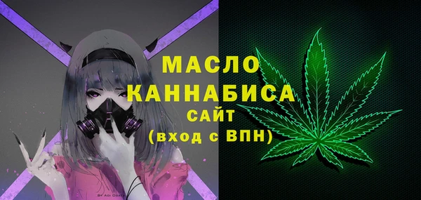 МДПВ Инсар